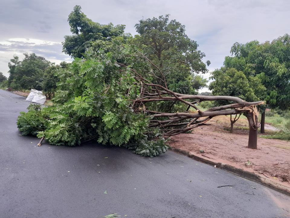 Foto 39 de 40 — Veja fotos do cenário em Boa Esperança do Sul após forte temporal